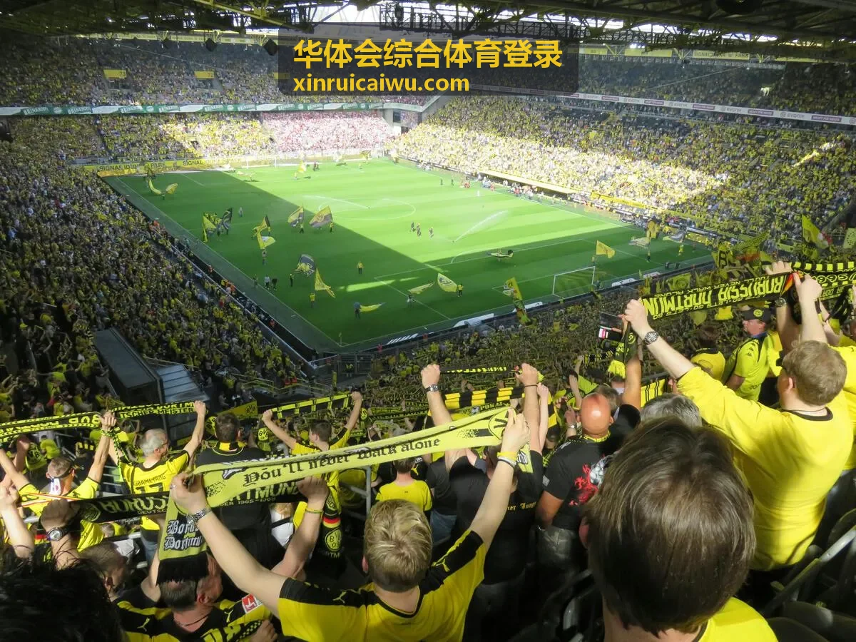 华体会综合体育登录账号登录与安全自查清单示意